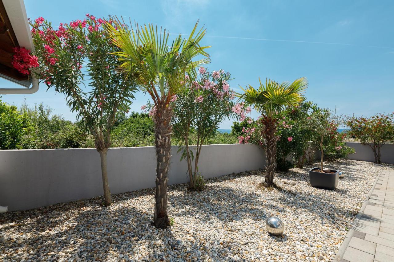 Malo Ferienvilla Privlaka, Pool, Boje, Wi-Fi, Wallbox Privlaka  Dış mekan fotoğraf